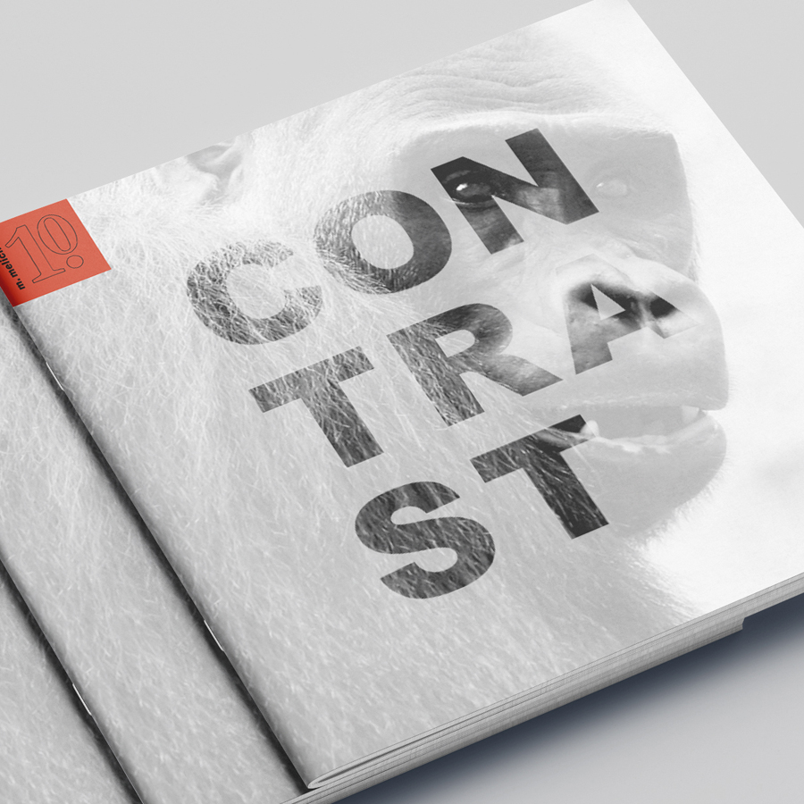 Contrast Folder Fauna Flora Elements 01