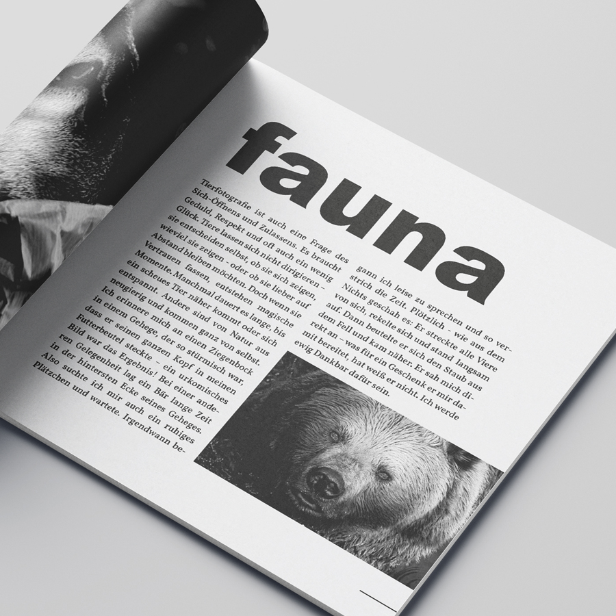 Contrast Folder Fauna Flora Elements 02
