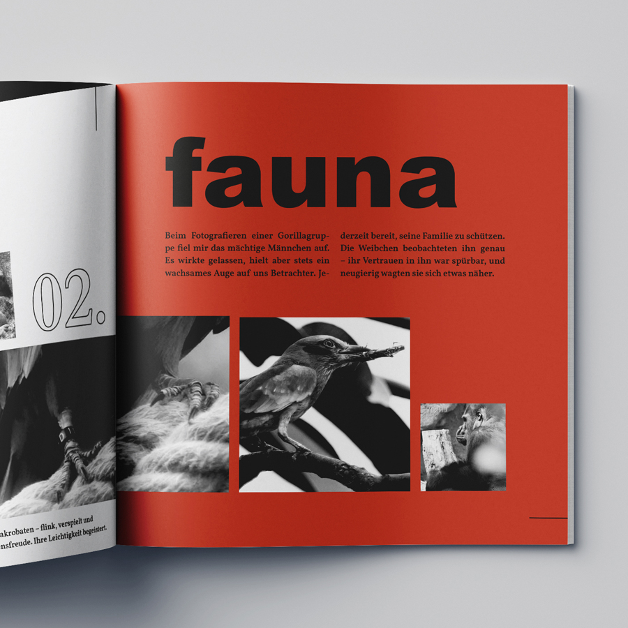 Contrast Folder Fauna Flora Elements 03